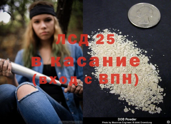 соль ск Новозыбков