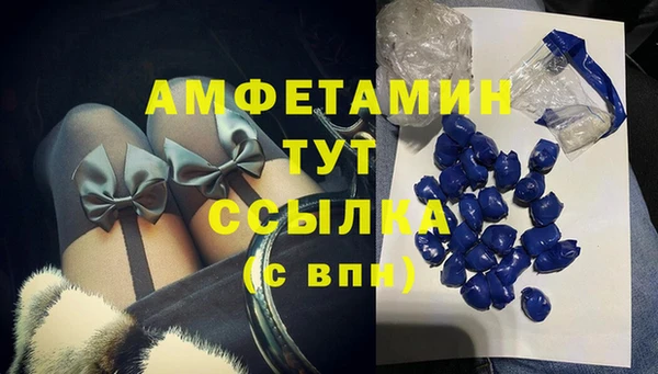 дживик Абаза