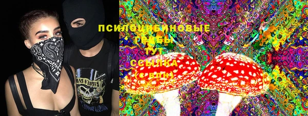 сатива Алексин