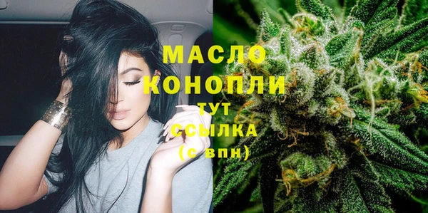дживик Абаза