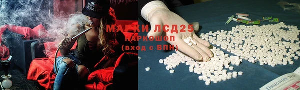 дживик Абаза
